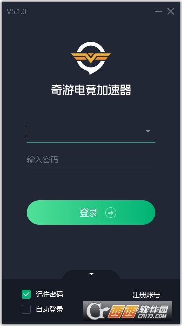 安卓奇游加速器官方正版app